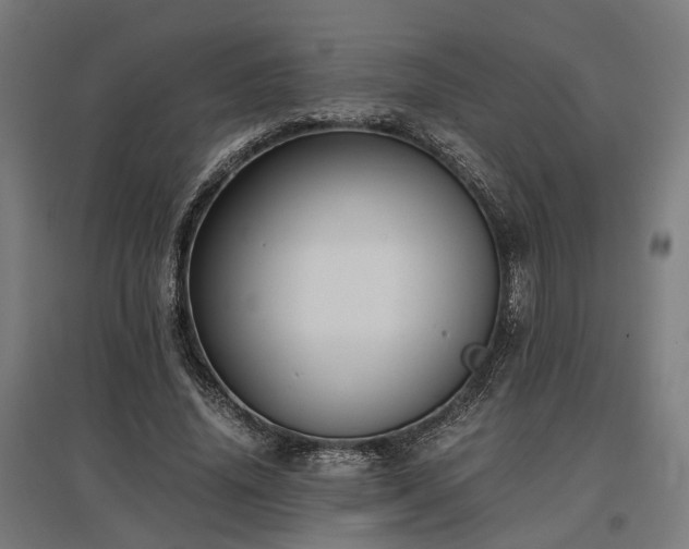 X0000096980636200802151331