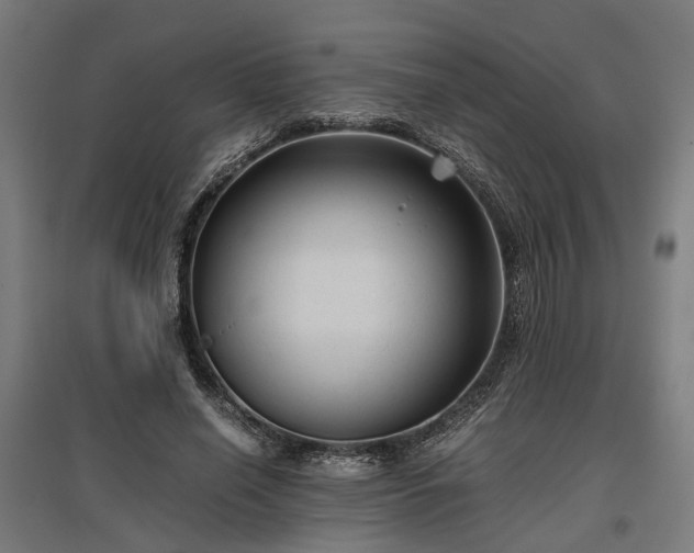 X0000096980638200802151331