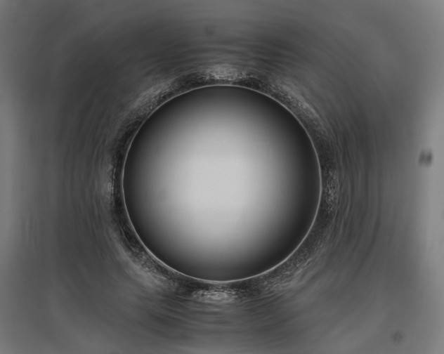 X0000096980639200802151331