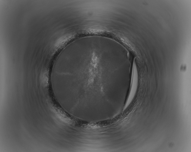 X0000096980640200802151331