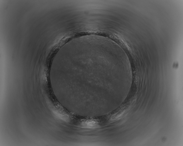 X0000096980643200802151331