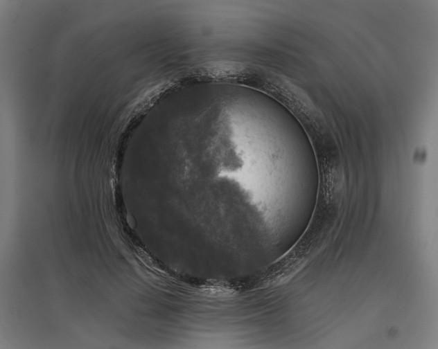 X0000096980644200802151331