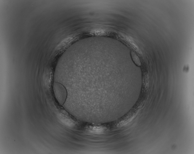 X0000096980645200802151331