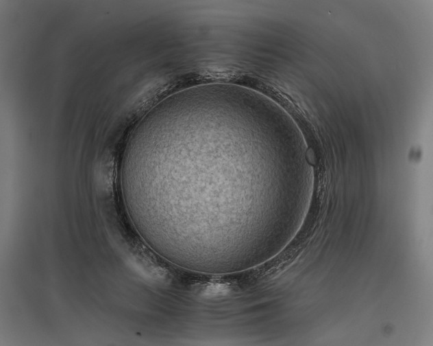 X0000096980647200802151331