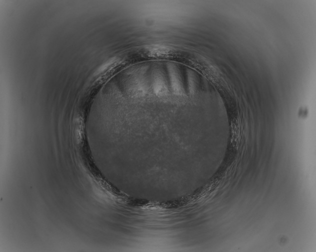 X0000096980648200802151331