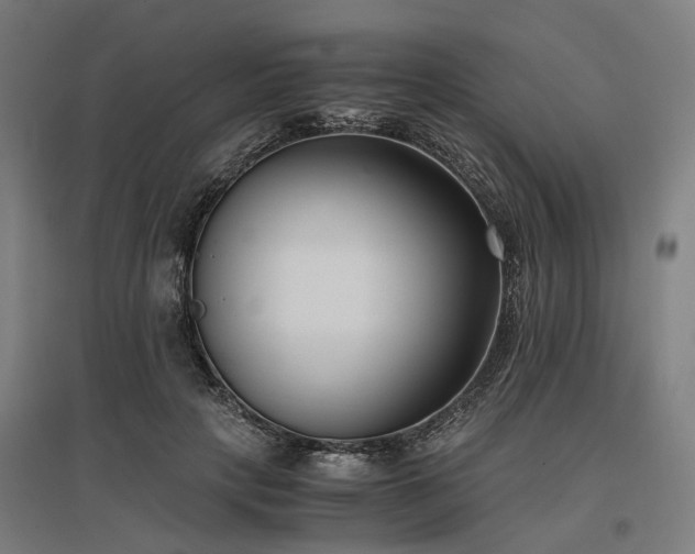 X0000096980649200802151331