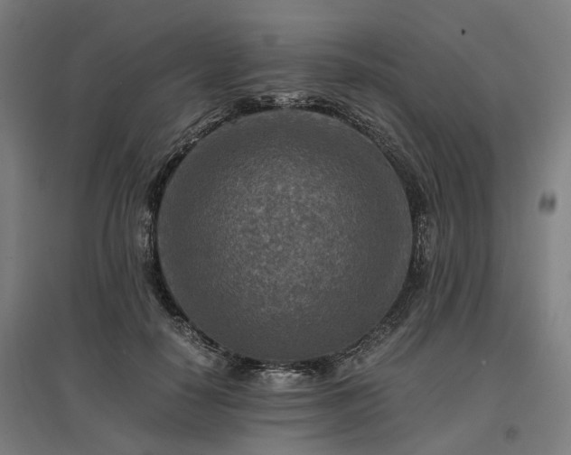 X0000096980650200802151331