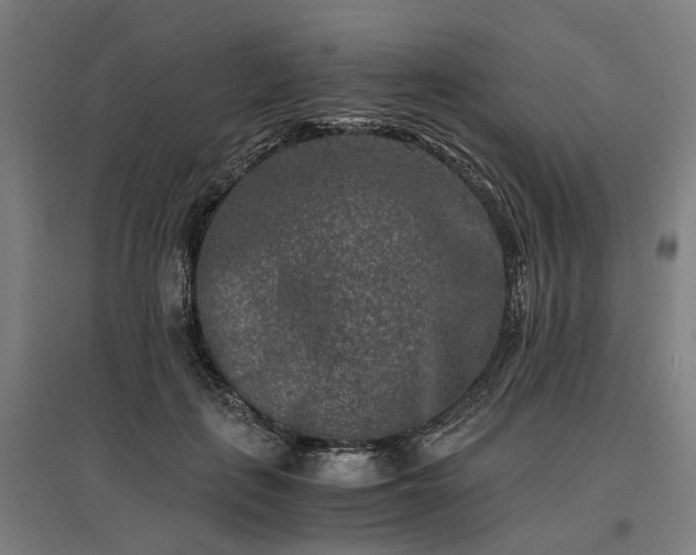 X0000096980651200802151331