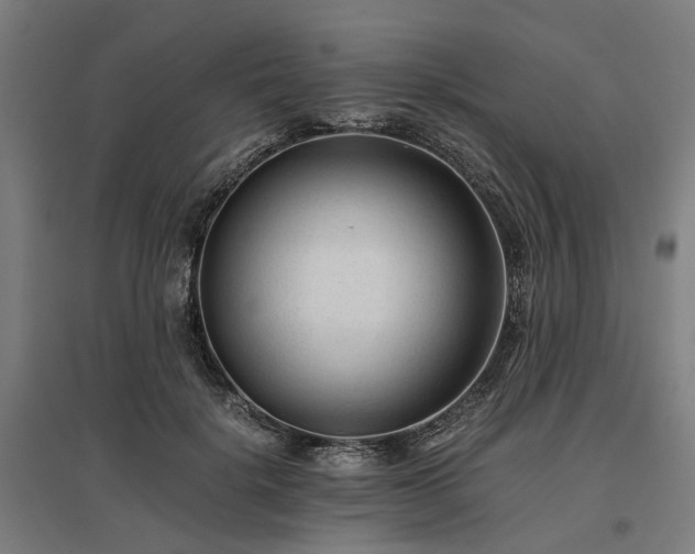 X0000096980652200802151331