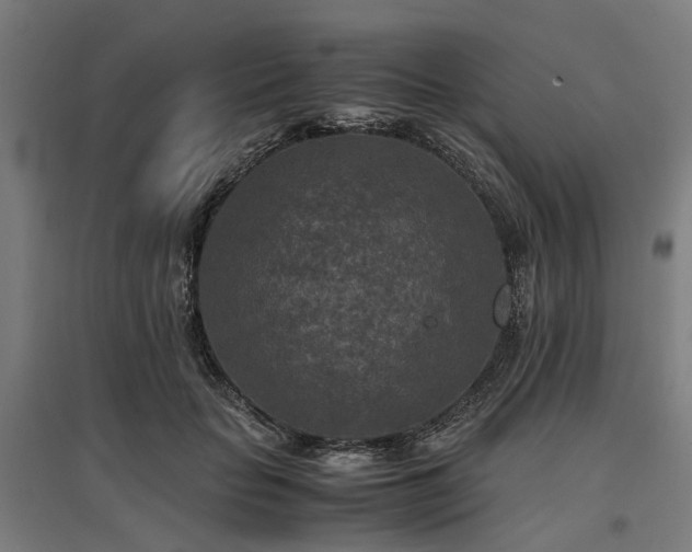 X0000096980653200802151331