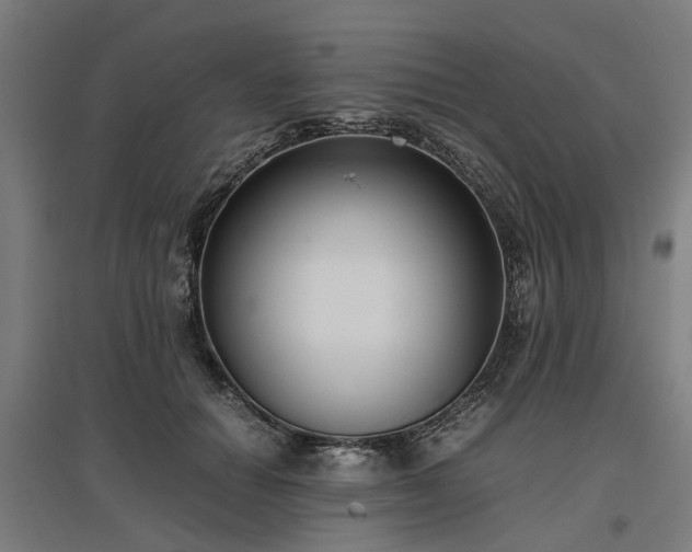 X0000096980654200802151331