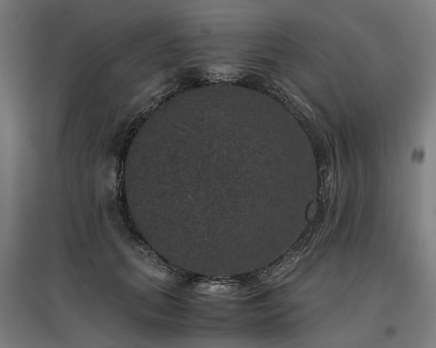 X0000096980655200802151331