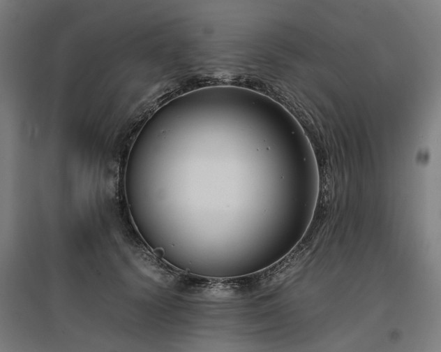 X0000096980656200802151331