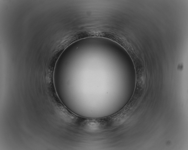 X0000096980658200802151331