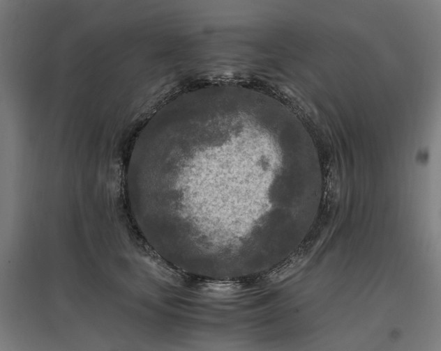 X0000096980659200802151331