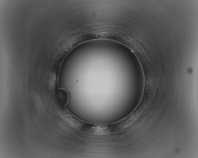 X0000096980660200802151331