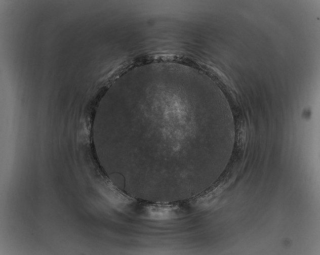 X0000096980661200802151331