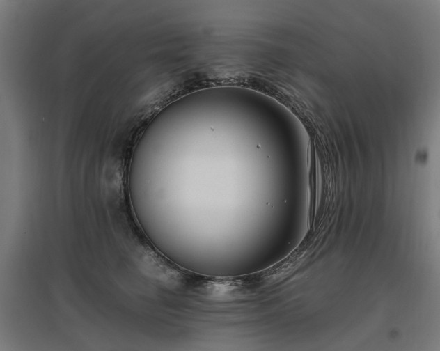 X0000096980662200802151331