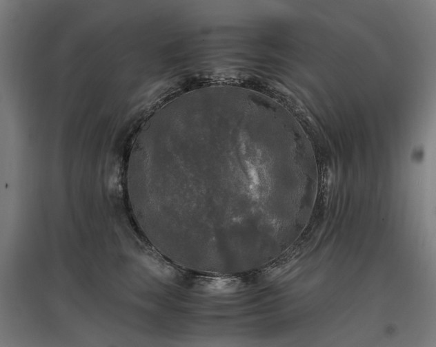 X0000096980663200802151331