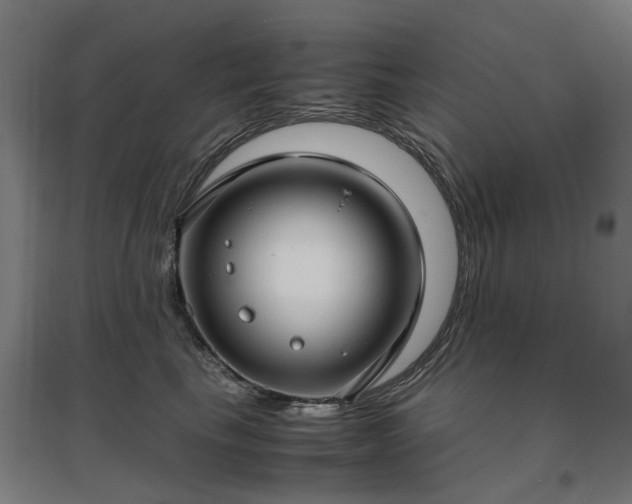 X0000096980665200802151331