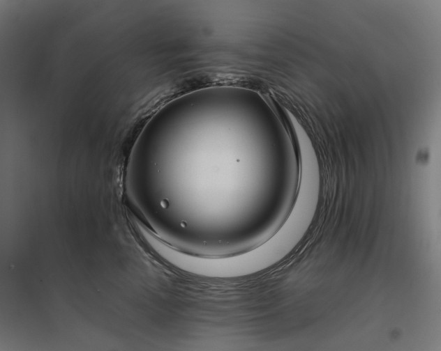 X0000096980666200802151331