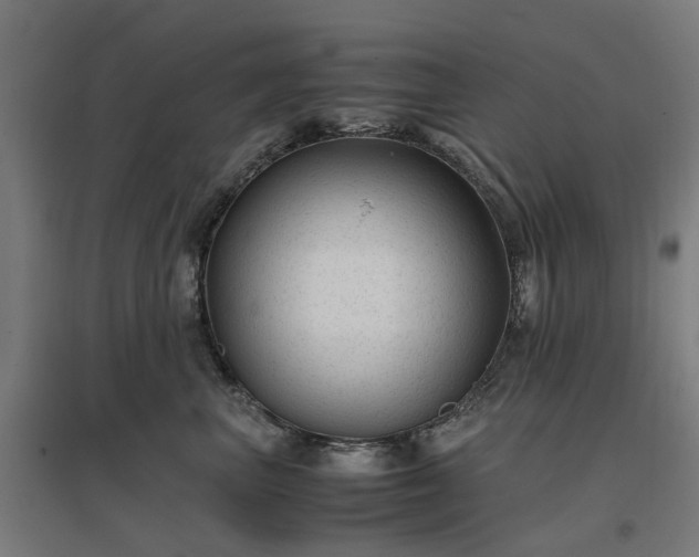 X0000096980667200802151331