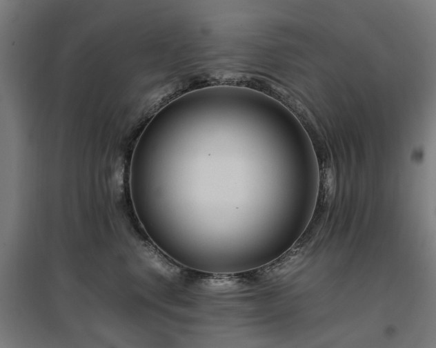 X0000096980668200802151331