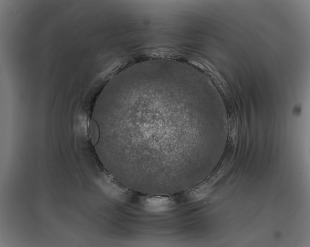 X0000096980669200802151331