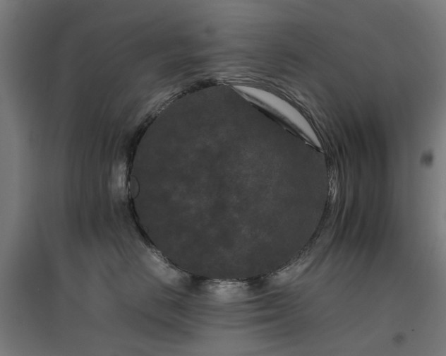 X0000096980670200802151331