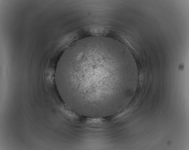 X0000096980671200802151331