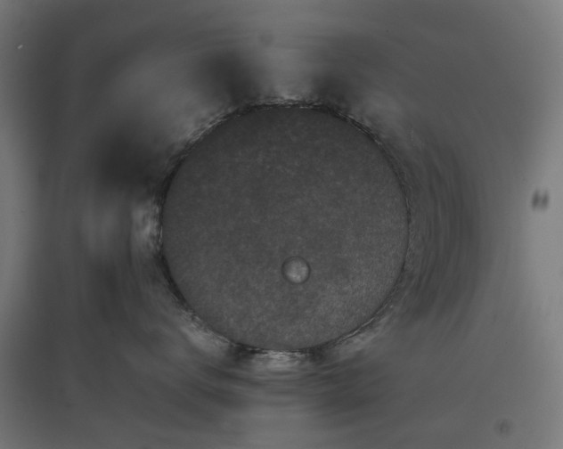 X0000096980672200802151331