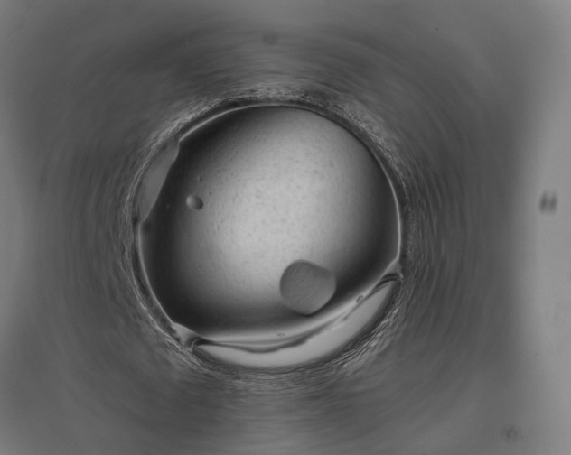 X0000096980673200802151331