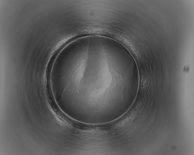 X0000096980674200802151331