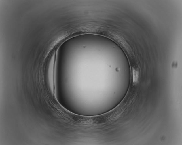 X0000096980675200802151331