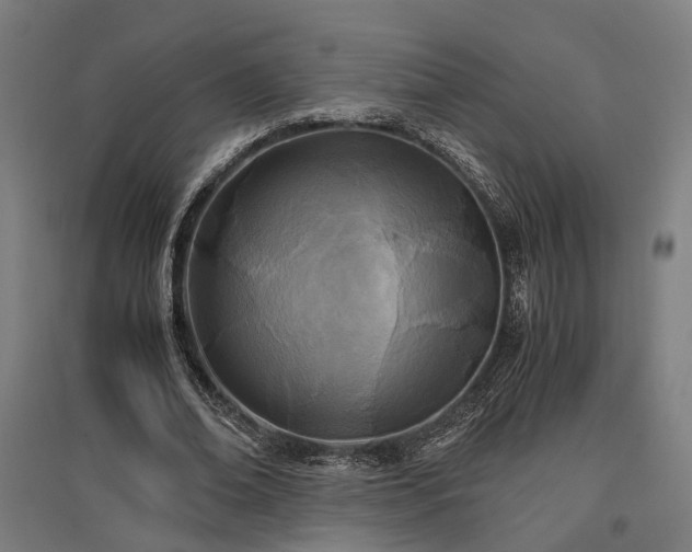 X0000096980678200802151331