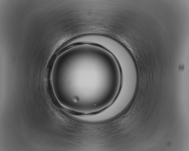 X0000096980679200802151331