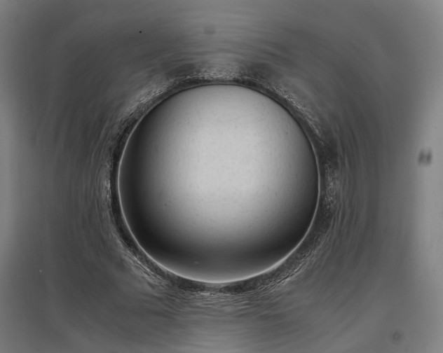 X0000096980681200802151331