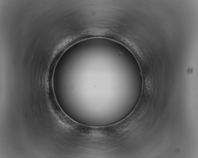 X0000096980682200802151331