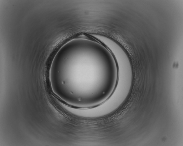 X0000096980683200802151331