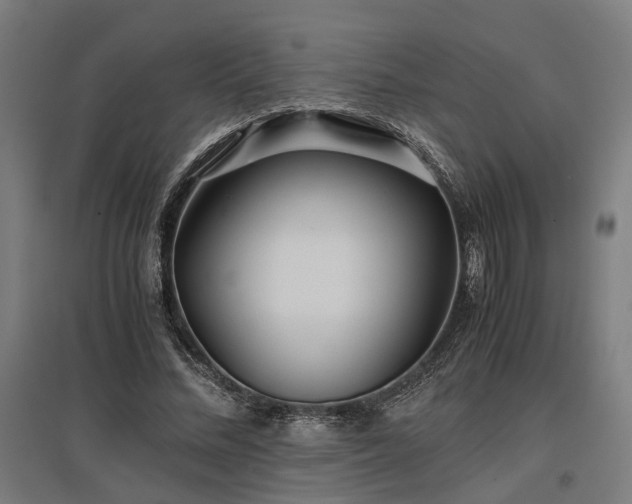 X0000096980684200802151331