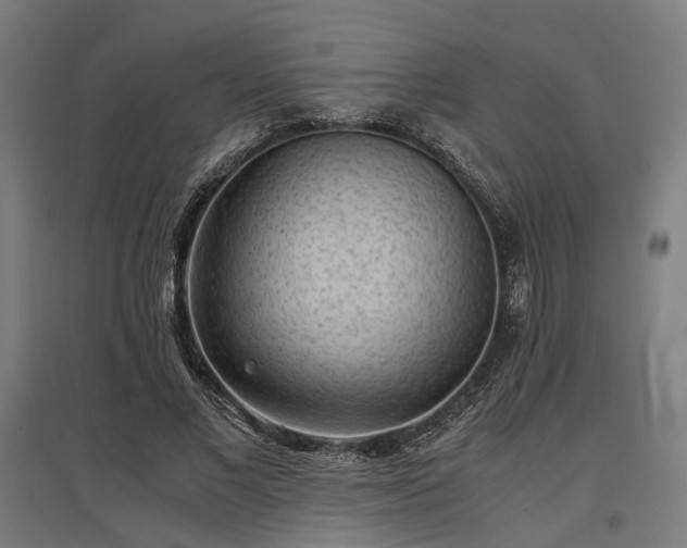 X0000096980685200802151331