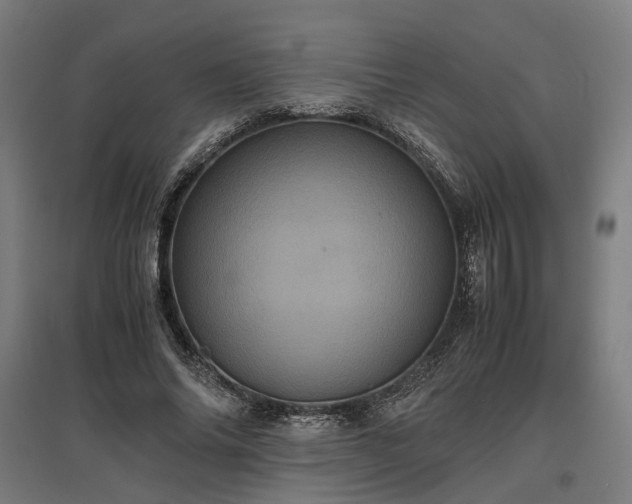 X0000096980686200802151331