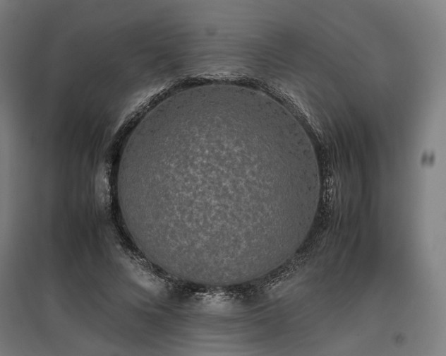 X0000096980688200802151331