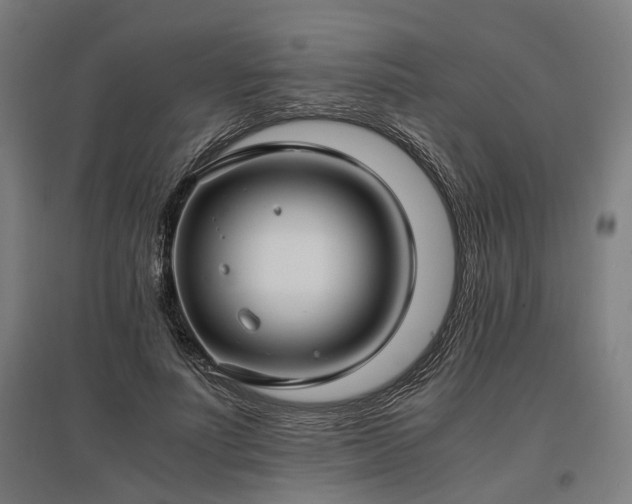 X0000096980691200802151331