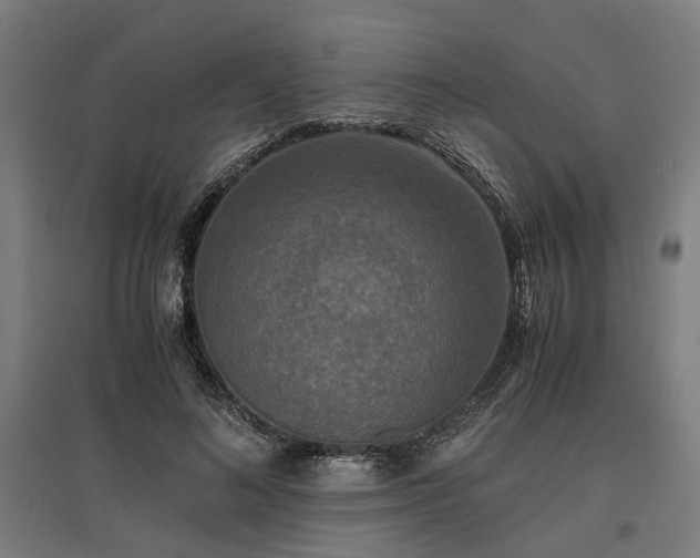 X0000096980692200802151331