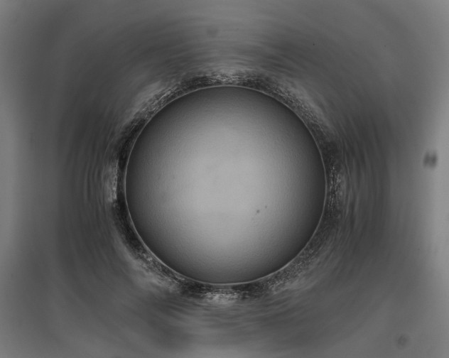 X0000096980694200802151331