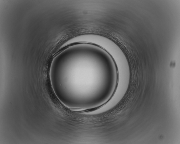 X0000096980695200802151331