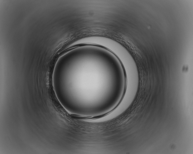 X0000096980696200802151330