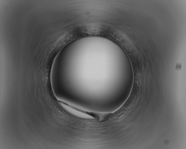 X0000096980697200802151330