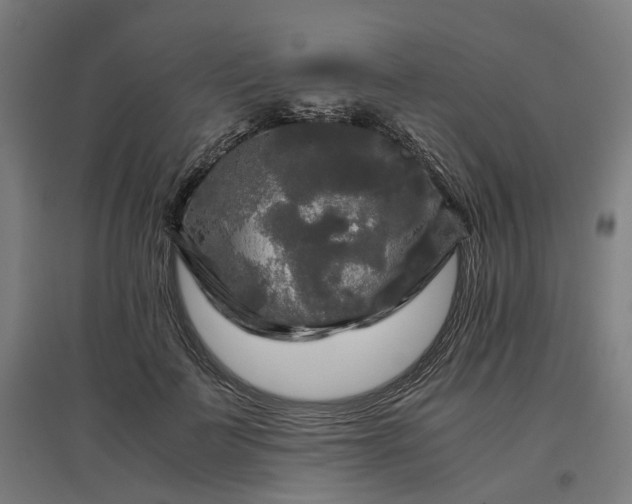 X0000096980699200802151330